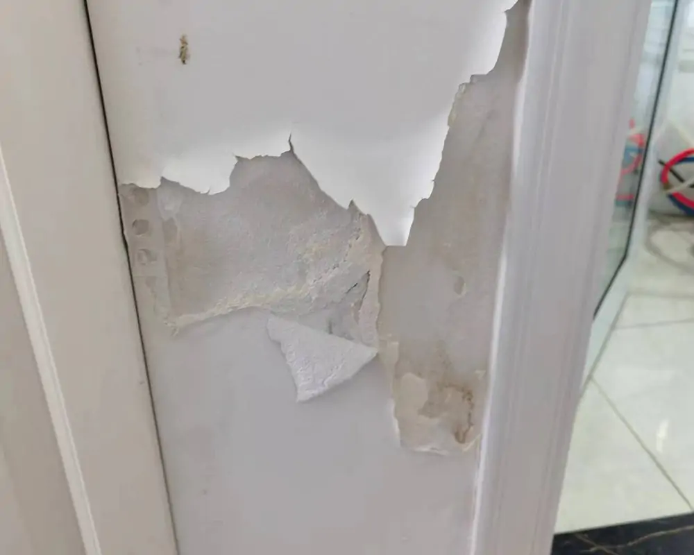 土瓜灣舊樓石屎渗水修復工程