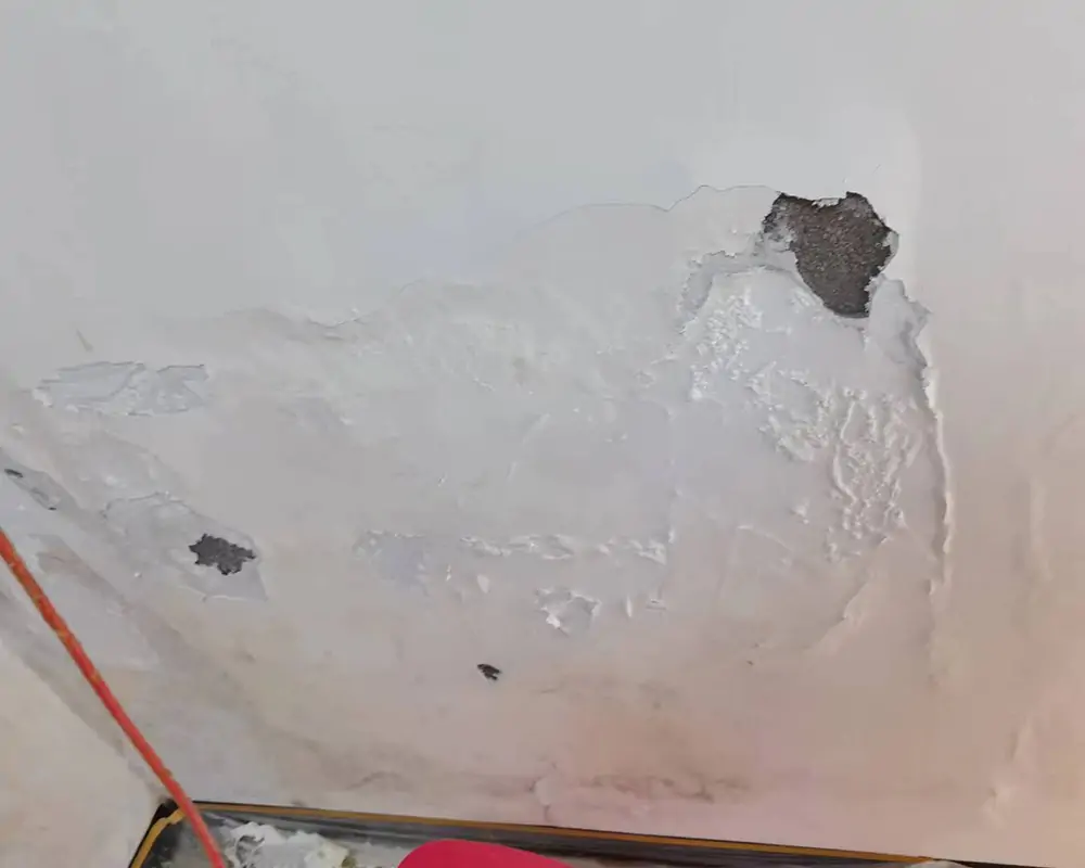 外牆滲水（批盪剝落、磚縫裂開）