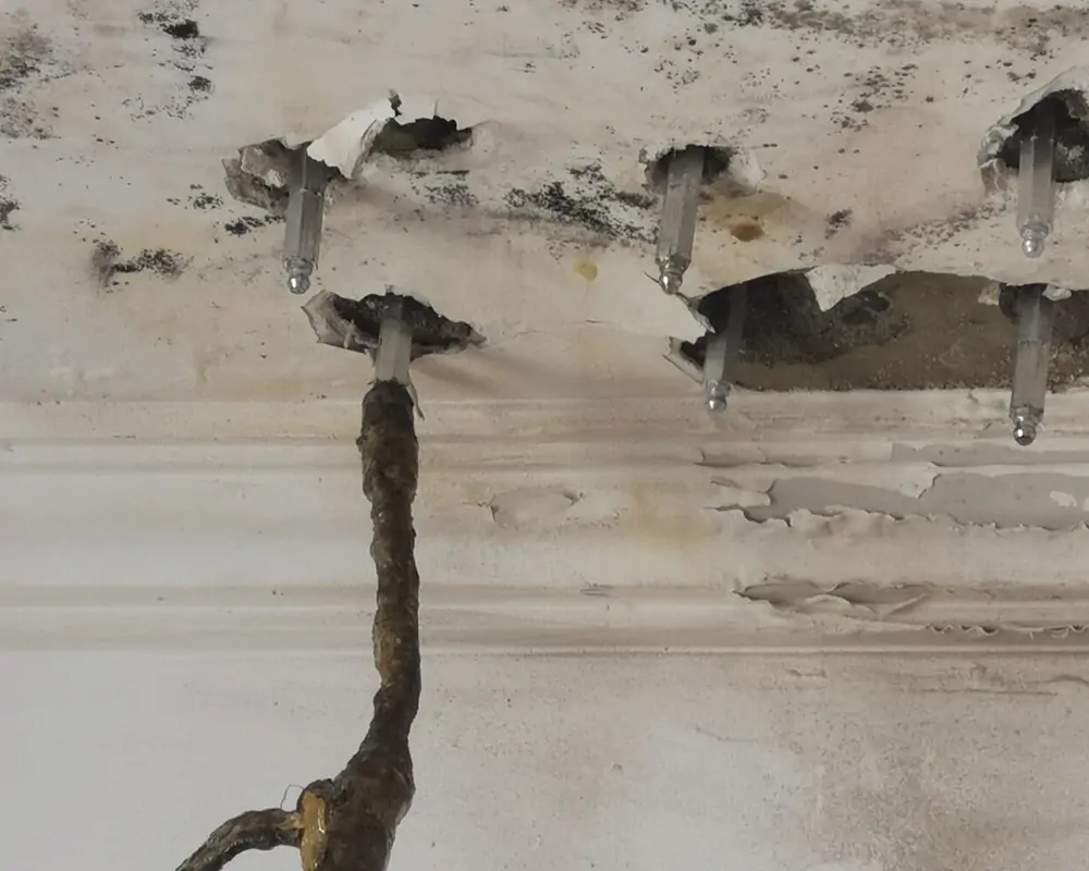 石屎剝落／鋼筋外露（結構性問題）